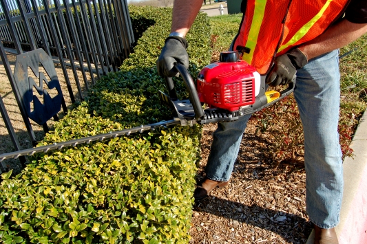 Hedge trimmers