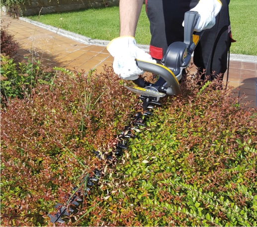 Electronic hedge trimmer Zanon RAPTOR 600